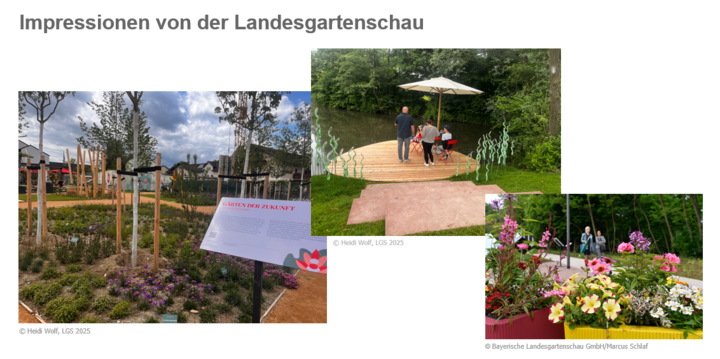 Impressionen von der Landesgartenschau